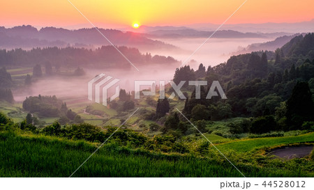 星峠の棚田 (朝景) 星峠の棚田 (朝景) 44528012
