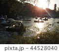 井之頭公園 44528040