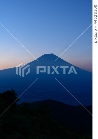 静岡県富士宮市猪之頭より夜明けの富士山 44528100