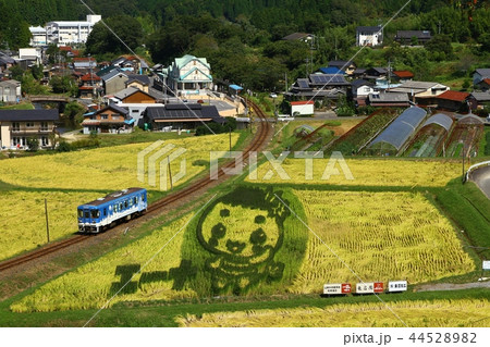 明知鉄道と田んぼアート 44528982