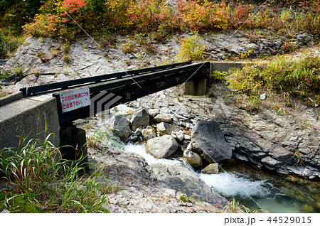 川原毛地獄 秋田県 湯沢市 川原毛地獄 秋田県 湯沢市 44529015