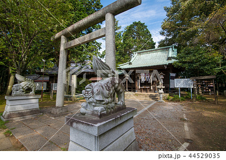 金山城跡　新田神社 御嶽神社　太田市　 44529035