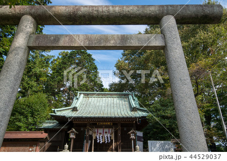 金山城跡　新田神社 　太田市　 44529037