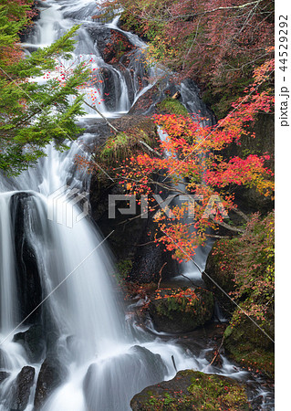 紅葉の奥日光、竜頭の滝 44529292