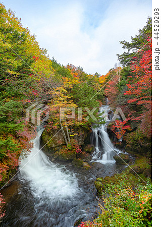 紅葉の奥日光 竜頭の滝 空あり の写真素材