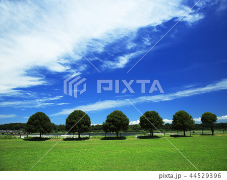 緑と雲のイメージ 44529396