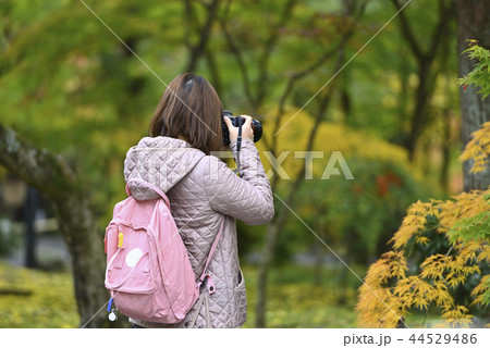 紅葉を撮る女性 44529486