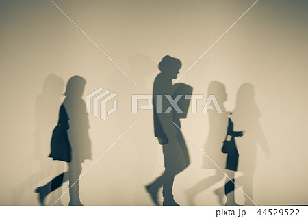 日陰 シェード シェイド 44529522