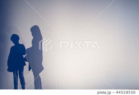 日陰 シェード シェイド 44529530