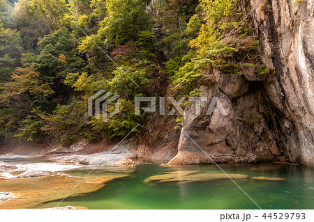 群馬・吹割の滝 44529793