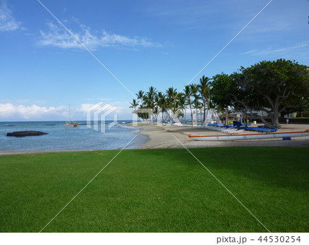 ハワイ島の静かなビーチ 44530254