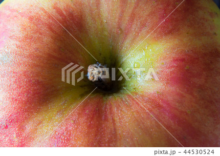 りんご 44530524
