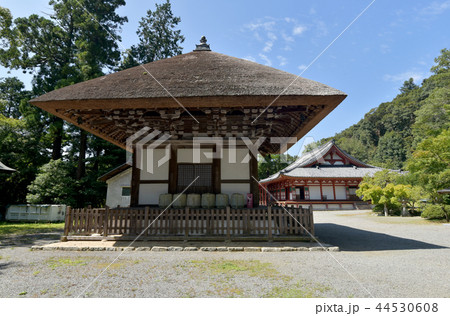 観心寺　建掛塔 44530608