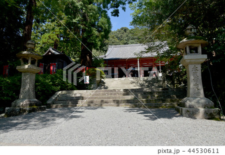 観心寺 金堂 観心寺 金堂 44530611