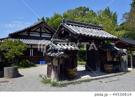 観心寺 中院 観心寺 中院 44530614