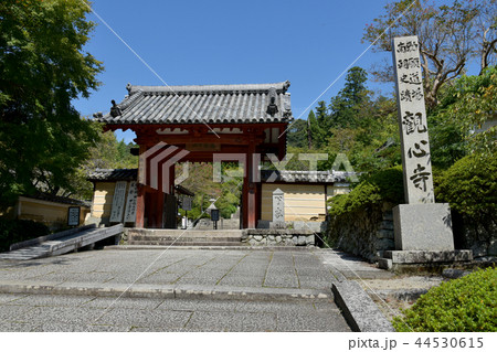 観心寺　山門 44530615