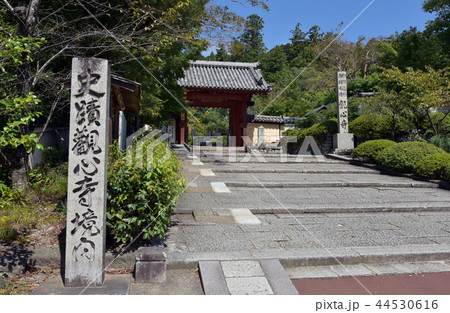 観心寺　山門 44530616