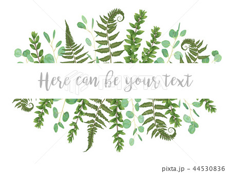 Vector illustration of a frame with green leaves 44530836