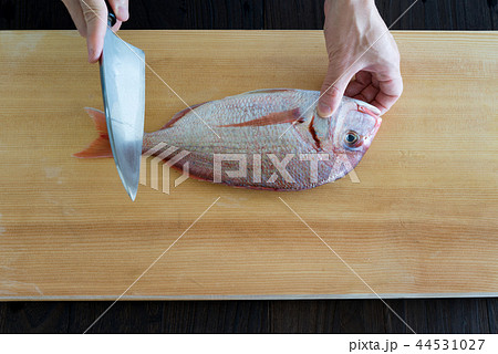 鯛を捌く 鯛を捌く 44531027