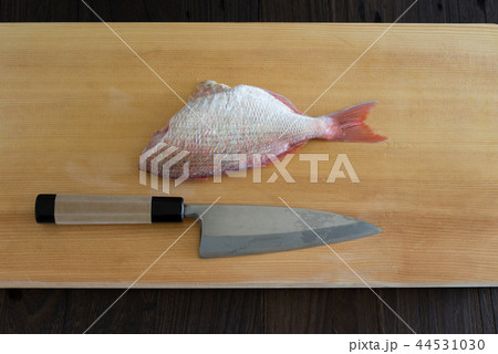 鯛を捌く 44531030