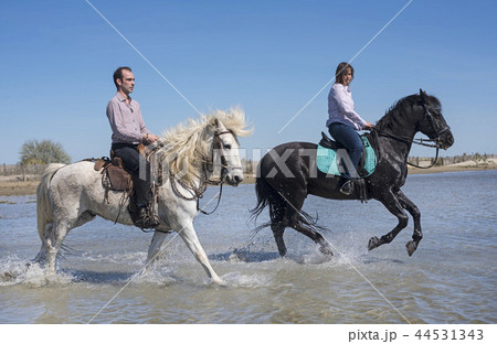 riders on the beach 44531343