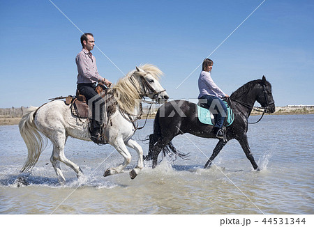 riders on the beach 44531344