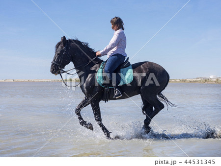 riding woman on the beach 44531345