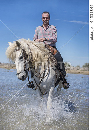 rider and horse on the beach 44531346