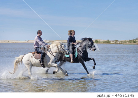 riders on the beach 44531348