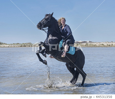 riding woman on the beach 44531350