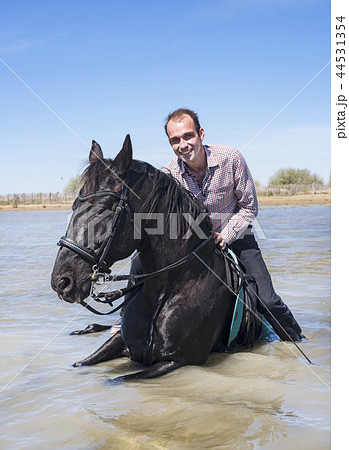 rider and horse on the beach 44531354