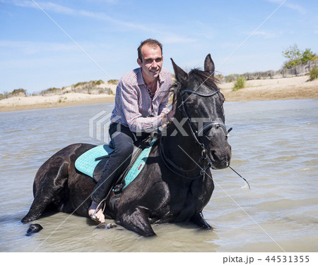rider and horse on the beach 44531355