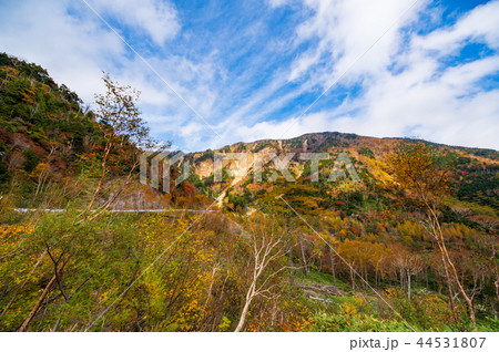 奥日光 金精峠の山肌と紅葉　a-2 超広角 日本ロマンチック街道 44531807
