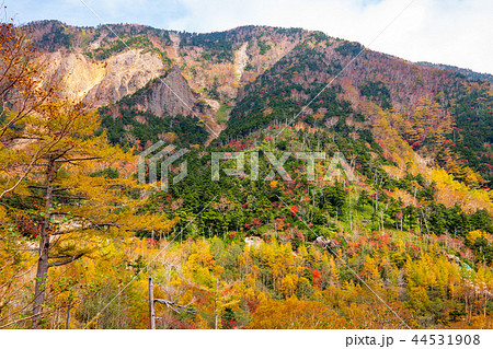 奥日光 金精峠の山肌と紅葉　b-2 稜線 44531908