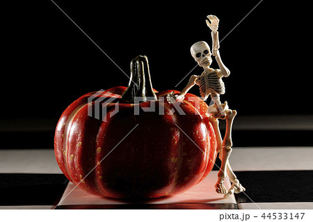 かぼちゃの前で待ち合わせ。 44533147