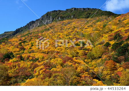 安達太良山の紅葉 44533264