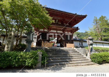 金剛寺 楼門 金剛寺 楼門 44533391