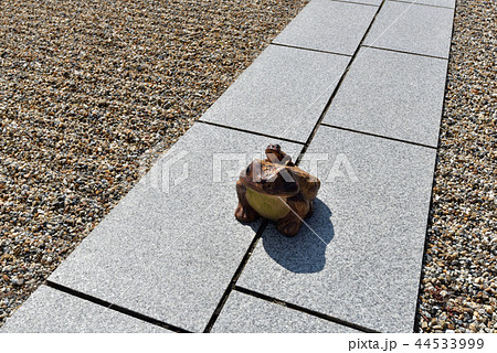 金剛寺 金剛寺 44533999