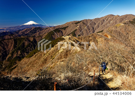丹沢・三ノ塔のハイカーと富士山 44534006