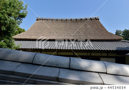 金剛寺 奥殿 金剛寺 奥殿 44534034