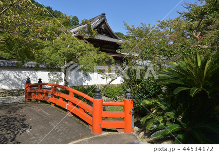 金剛寺　大玄関 44534172