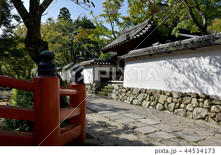 金剛寺 44534173