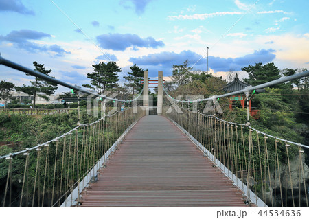 地域 済州 済州島 44534636