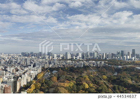東京眺望　秋（新宿より赤坂・虎ノ門方面） 44534637