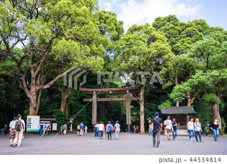 明治神宮 南参道 明治神宮 南参道 44534814
