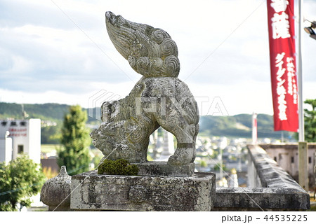 シッポを逆立てる最上稲荷の狛犬　岡山県岡山市北区 44535225