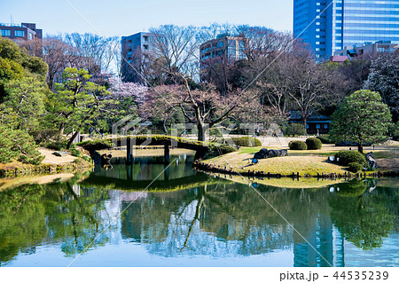 東京 六義園 大泉水 44535239