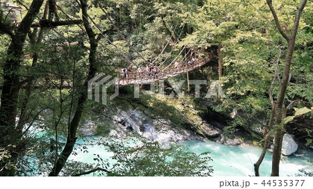 祖谷のかずら橋４ 44535377