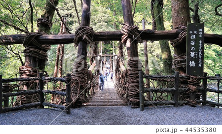 祖谷のかずら橋１ 44535380