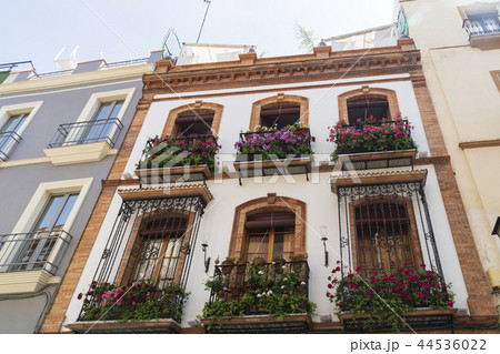 セビリア アンダルシア スペインの 44536022